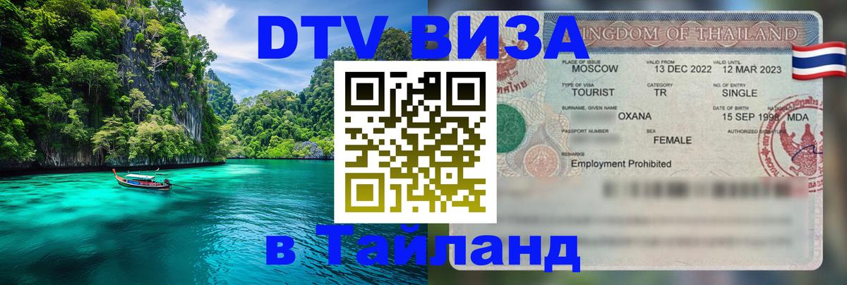 Сколько стоит DTV виза — актуальные цены, оформление даже без документов - 07.12.2025 